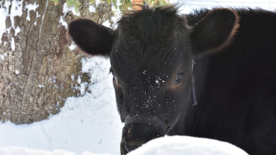 U Krajini, zapadnim i sjevernim područjima Bosne snijeg iduća tri dana