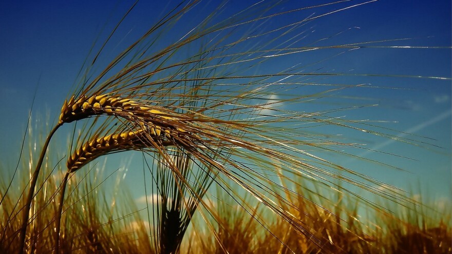 Stabilno i sunčano do sredine sedmice, nakon toga pogoršanje