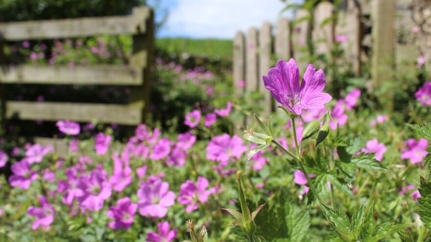 Stabilizacija vremena od nedjelje uz rijetke lokalne pljuskove
