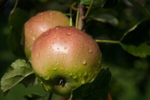 Čekaju nas visoke temperature i lokalni pljuskovi