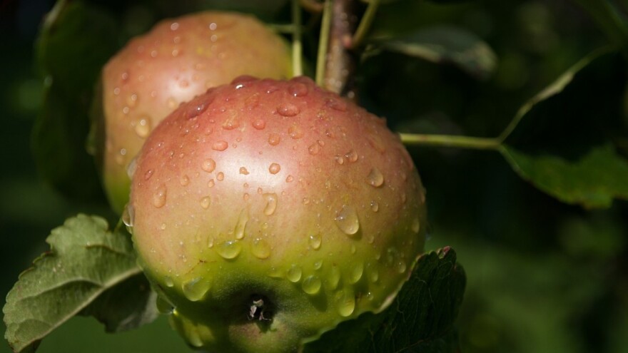 Čekaju nas visoke temperature i lokalni pljuskovi
