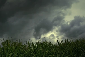 Promjena vremena i pad temperature u nedjelju, očekujte grmljavinsko nevrijeme