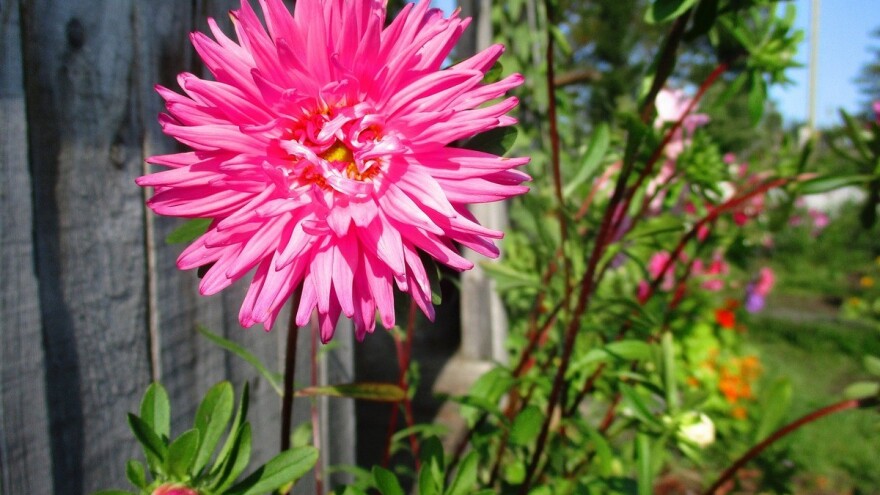 Jesen samo što nije, a i dalje ljeto grije