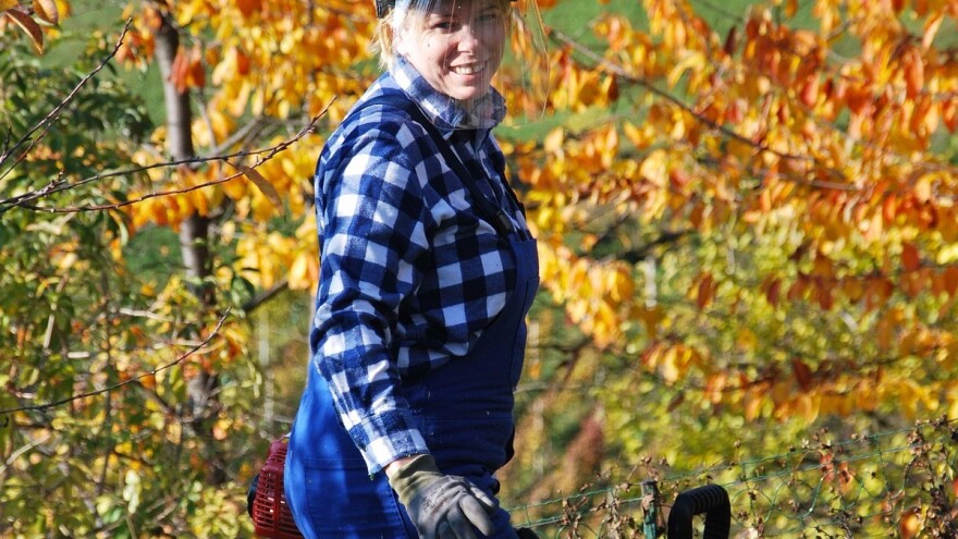 U utorak pogoršanje i zahlađenje, a u nastavku sedmice većinom bez padavina