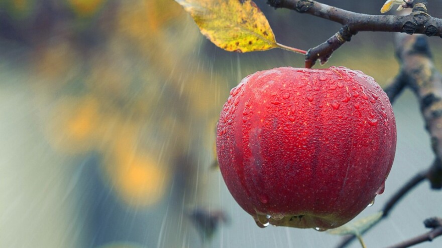Stiže prava jesen - očekujte kišu, pljuskove, čak i grmljavinu