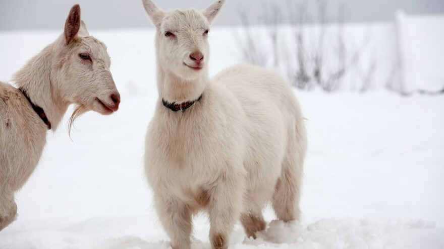 Stižu novi centimetri snijega i kiša