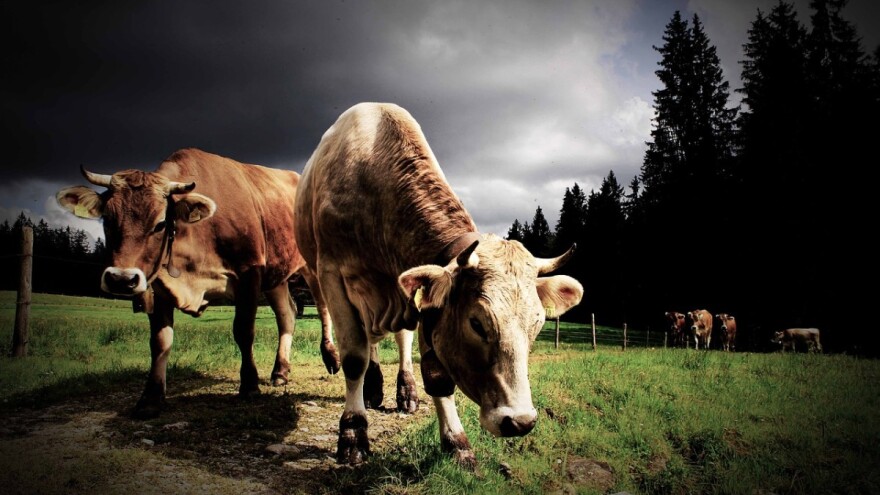 Oblačno i toplo - slaba kiša tek iza nedjelje