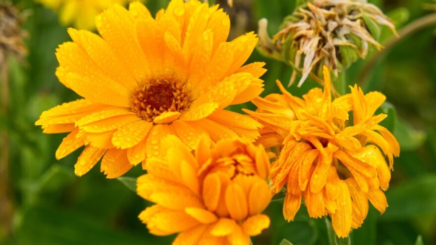 Pogoršanje vremena - kulminacija u utorak