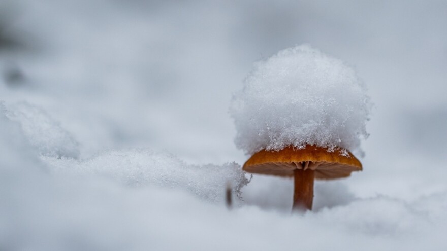 Padaju temeparture, padat će i snijeg