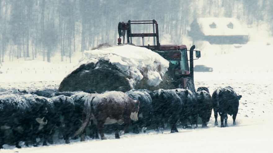 Stiže pogoršanje: Jače sniježne padavine i ove sedmice