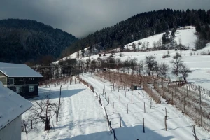Očekujte još snijega ovih dana
