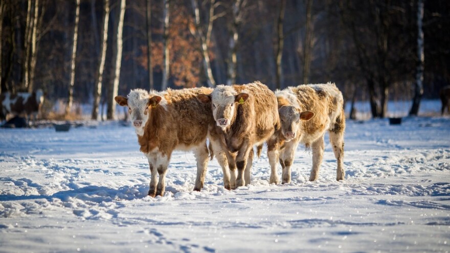 Čeka nas topljenje sniježnog pokrivača, a onda pogoršanje