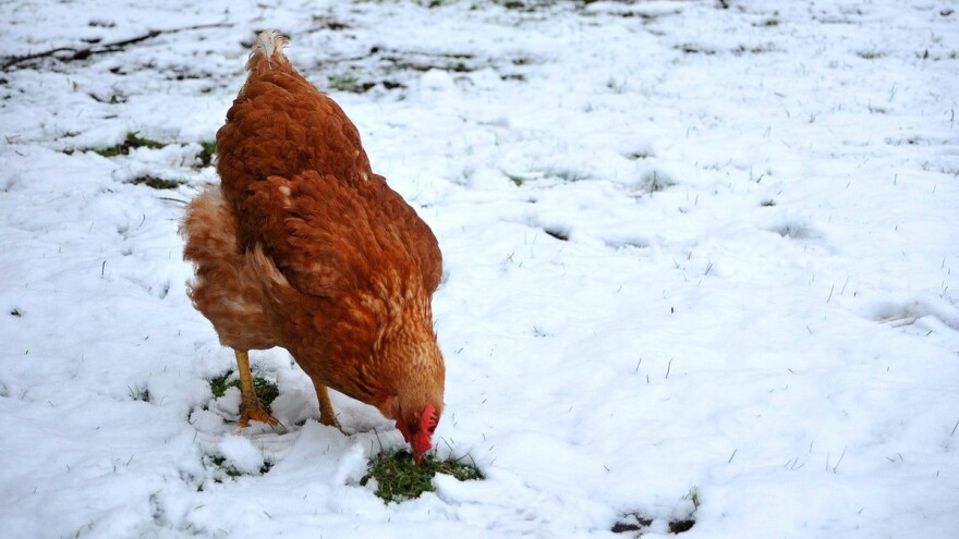 Čeka nas mrljav vikend i isti takav početak sedmice