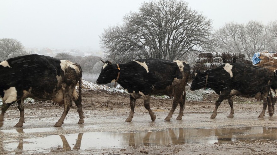 Oprez, obilne padavine, do 80 litara po m2!