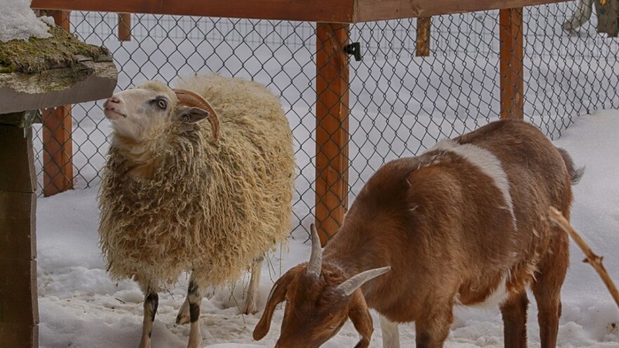 Topliji početak sedmice, a onda pad temperature sa padavinama
