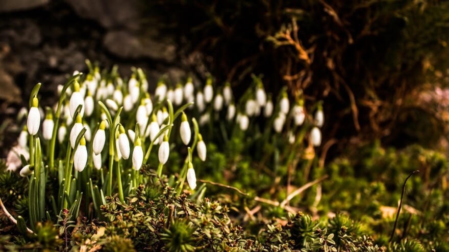 Spremni za proljeće?