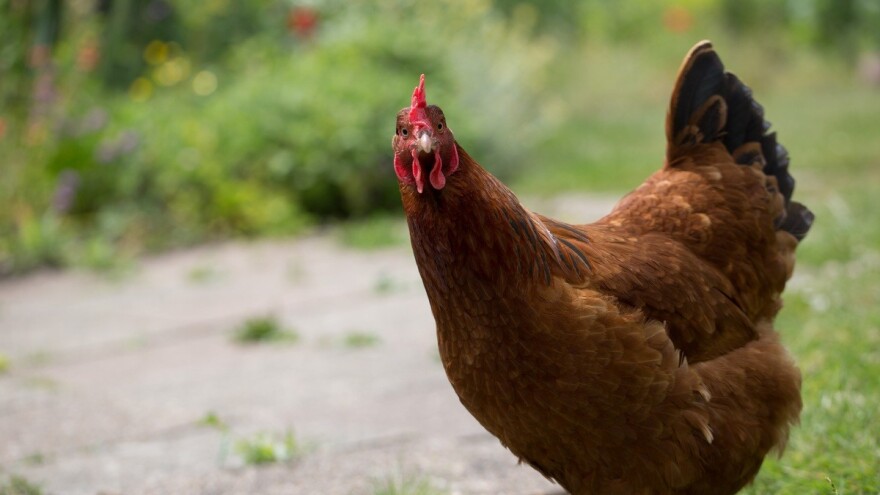 Hoće li nam se vratiti zima?