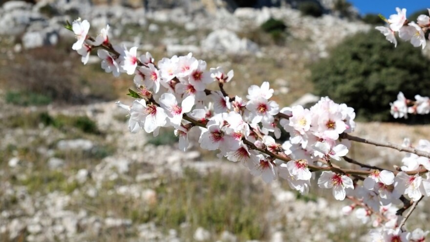Februar zarazio mart - nastavljaju se visoke temperature