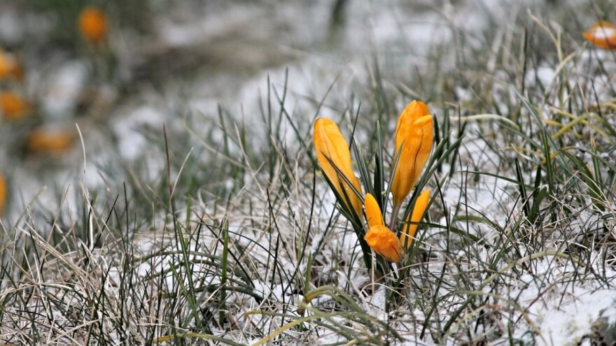 Prevario nas početak marta - ne da se zima tako lako