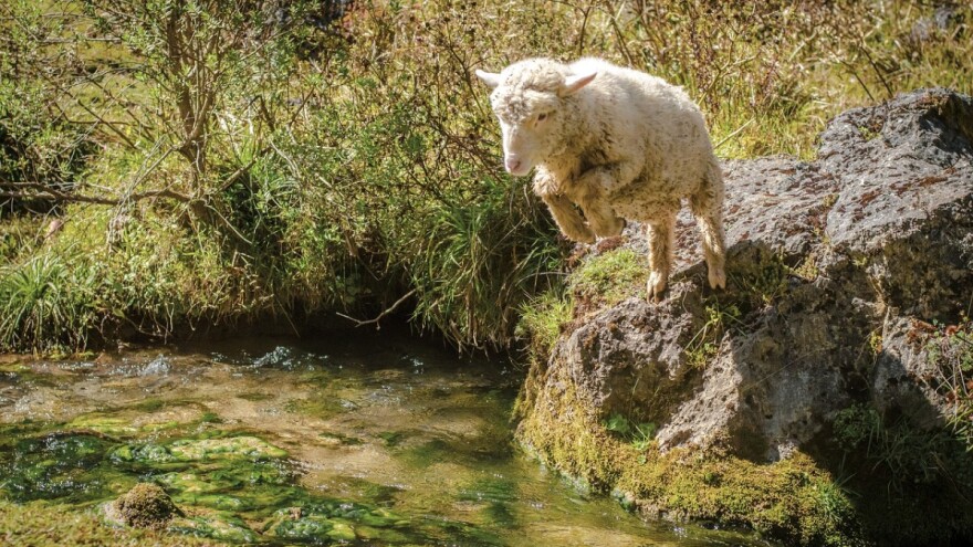 April donosi temperature iznad 20°C