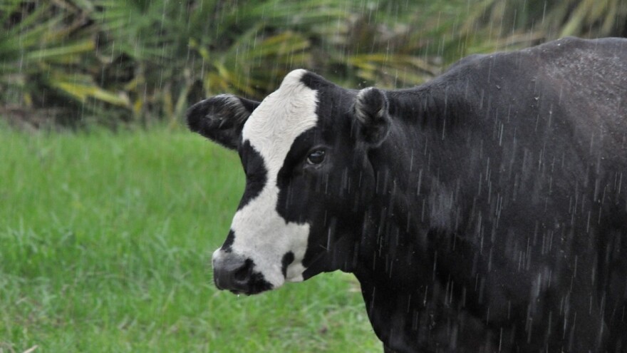 Ništa od posla na otvorenom ove sedmice?