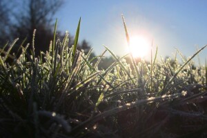 Vedri li se april noću, škodi vinu ko i voću