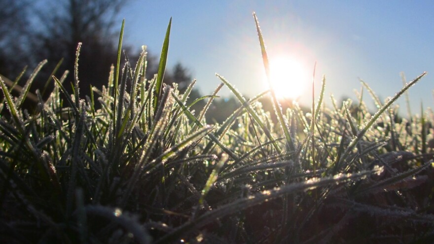 Vedri li se april noću, škodi vinu ko i voću