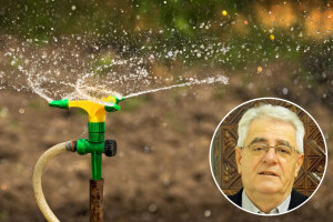 Ljeto je daleko od završetka, navodnjavajte biljke s kratkim korijenovim sustavom