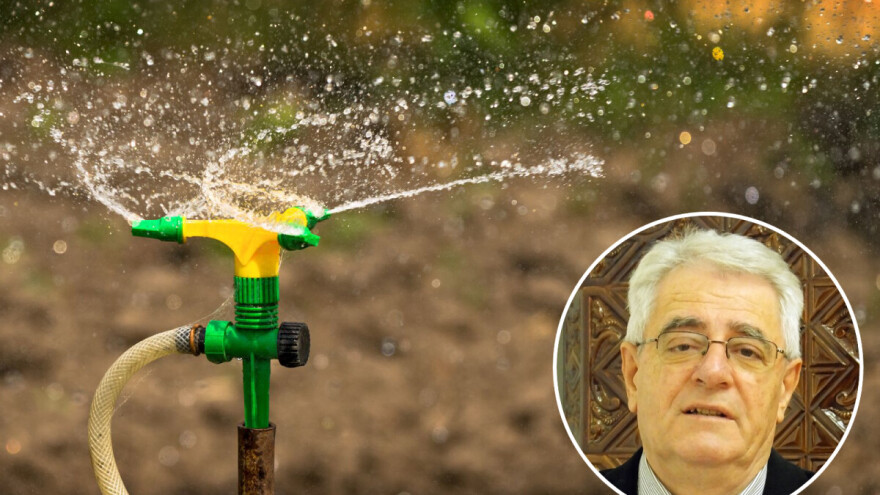 Ljeto je daleko od završetka, navodnjavajte biljke s kratkim korijenovim sustavom