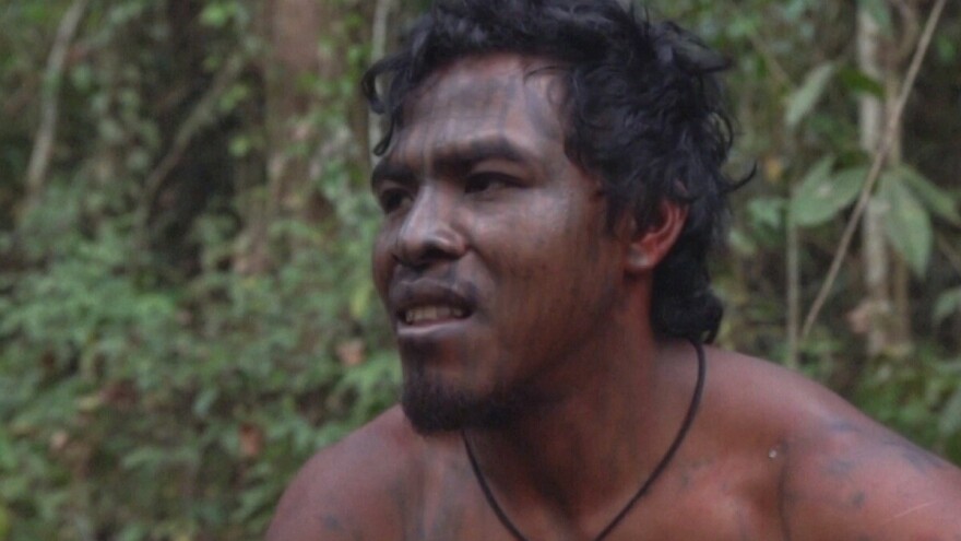 Ilegalni drvosječe u zasjedi ubili mladog čuvara brazilskih šuma