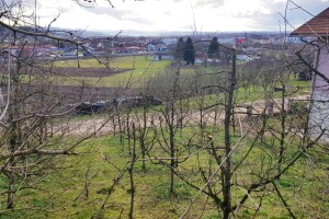 Aktuelno vrijeme pogoduje štetočinama, obratite pažnju na voćnjake
