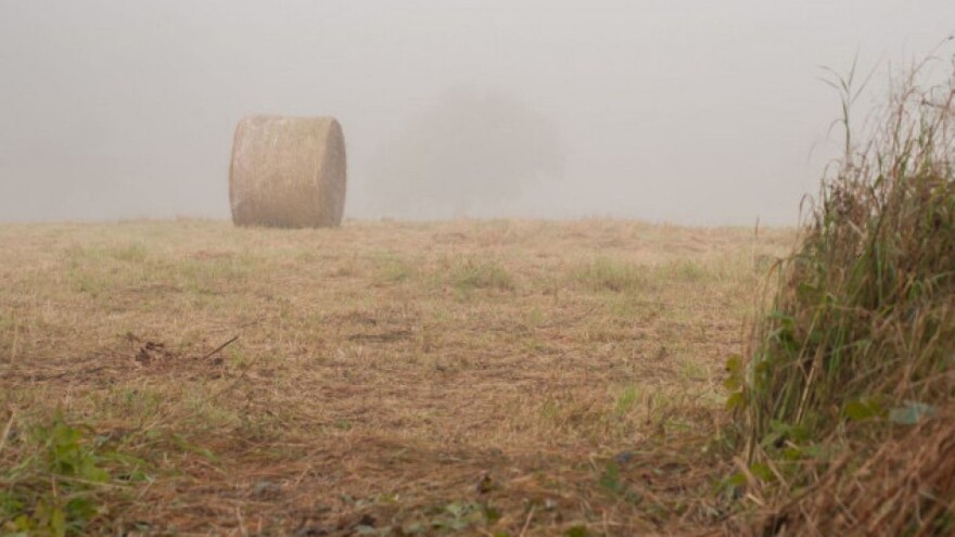 Nastavlja se oblačno vrijeme, a iduće sedmice i sa snijegom
