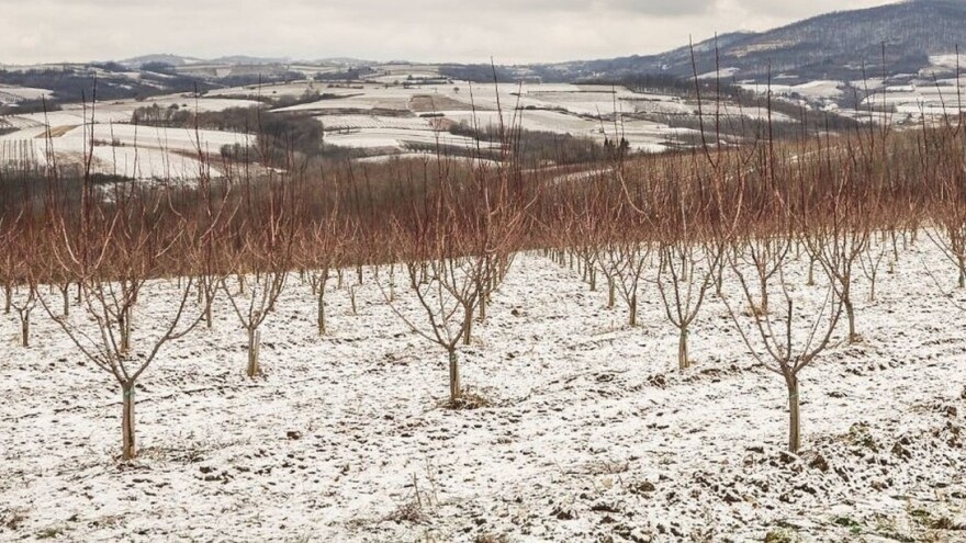 Faza mirovanja protiče u povoljnim uslovima, od sutra slijedi i stabilizacija vremena
