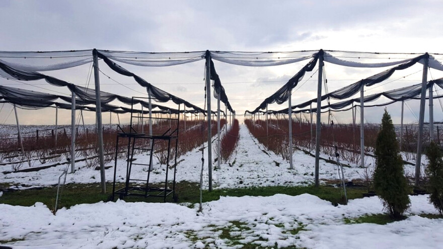 Snijeg bi mogao ugroziti ranocvjetajuće voće, za vikend stabilizacija vremena