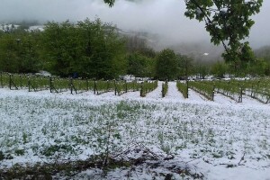 Najavljeni snijeg ometaće radove na otvorenom i pomjeriti sjetvene rokove