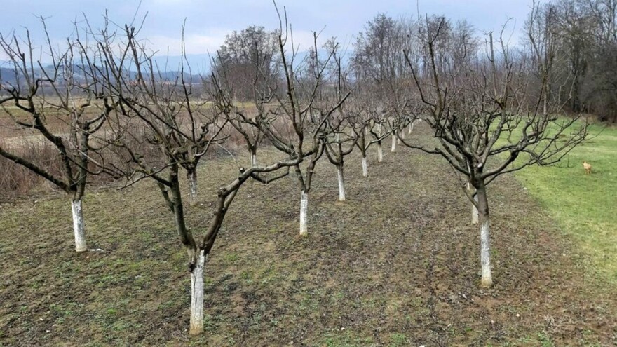 Povoljni uslovi za ozimine, kišovito i bez mraza