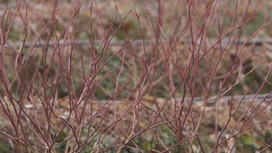 Promjena vremena stiže za vikend, na planinama i snijeg