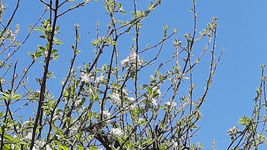 Vrijeme stabilno i sunčano, sa kratkotrajnim pogoršanjem
