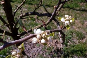 Vikend nosi ljetne temperature - u većini zemlje preko 25 stupnjeva