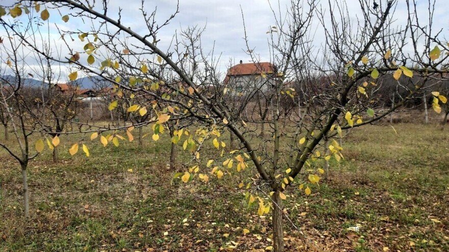Slijedi oblačna i kišovita sedmica  - razvedravanje tek oko vikenda