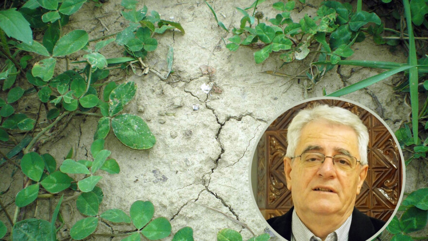 Zbog topline biljke su u stresu, ali za vikend stižu oborine