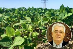 Stigao prvi toplinski val - suhom i vrućem vremenu ne nazire se kraj