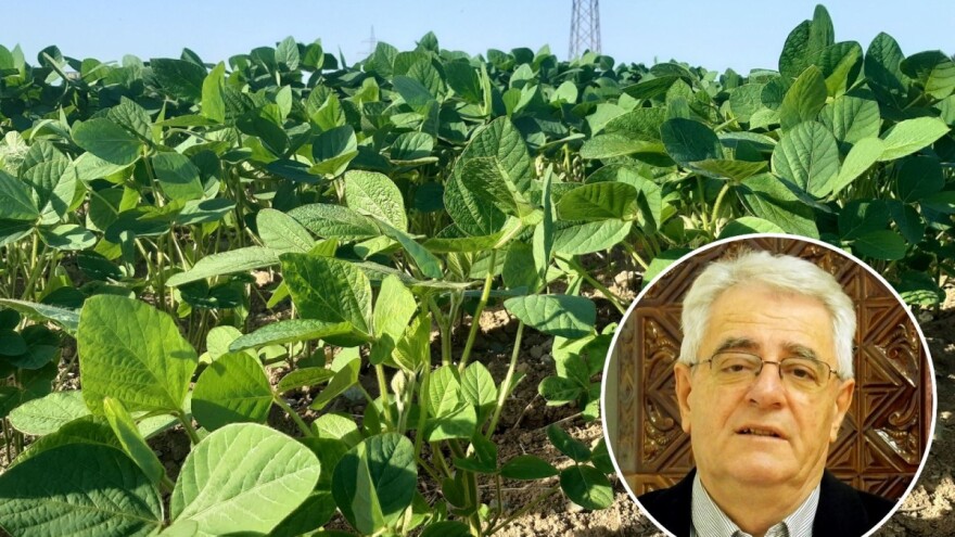 Stigao prvi toplinski val - suhom i vrućem vremenu ne nazire se kraj