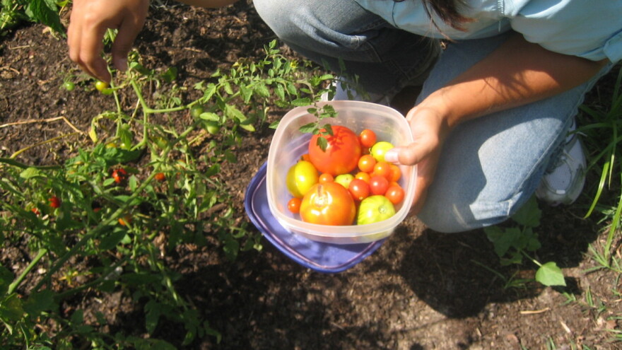 Iskoristite sunčani vikend jer već u nedjelju navečer stižu nove padavine