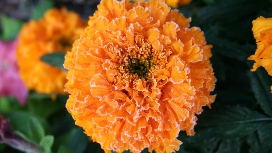 Moguć mraz, a padavine neće bitnije popraviti stanje vlage što će otežati predsjetvene pripreme