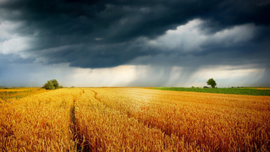 Vreli vikend sa večernjim grmljavinama i pljuskovima