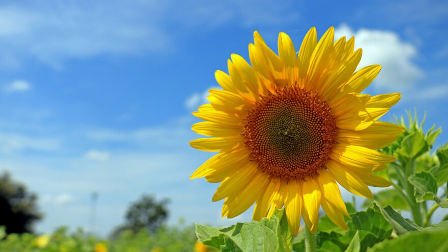 Prethodi nam toplo vrijeme, uz slabe pljuskove