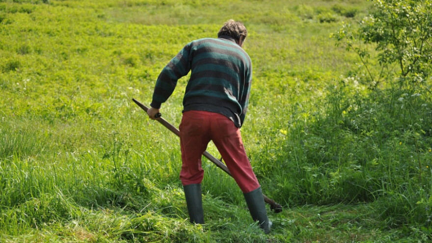 Jutarnje temperature savršene za rad u polju