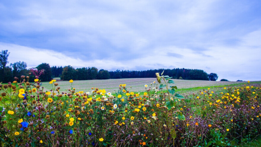 Septembar donosi pad temperature, oblake i kišu