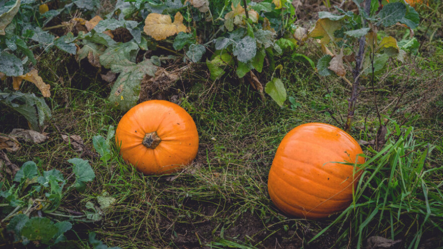 Nestabilno vrijeme s djelomičnim pljuskovima